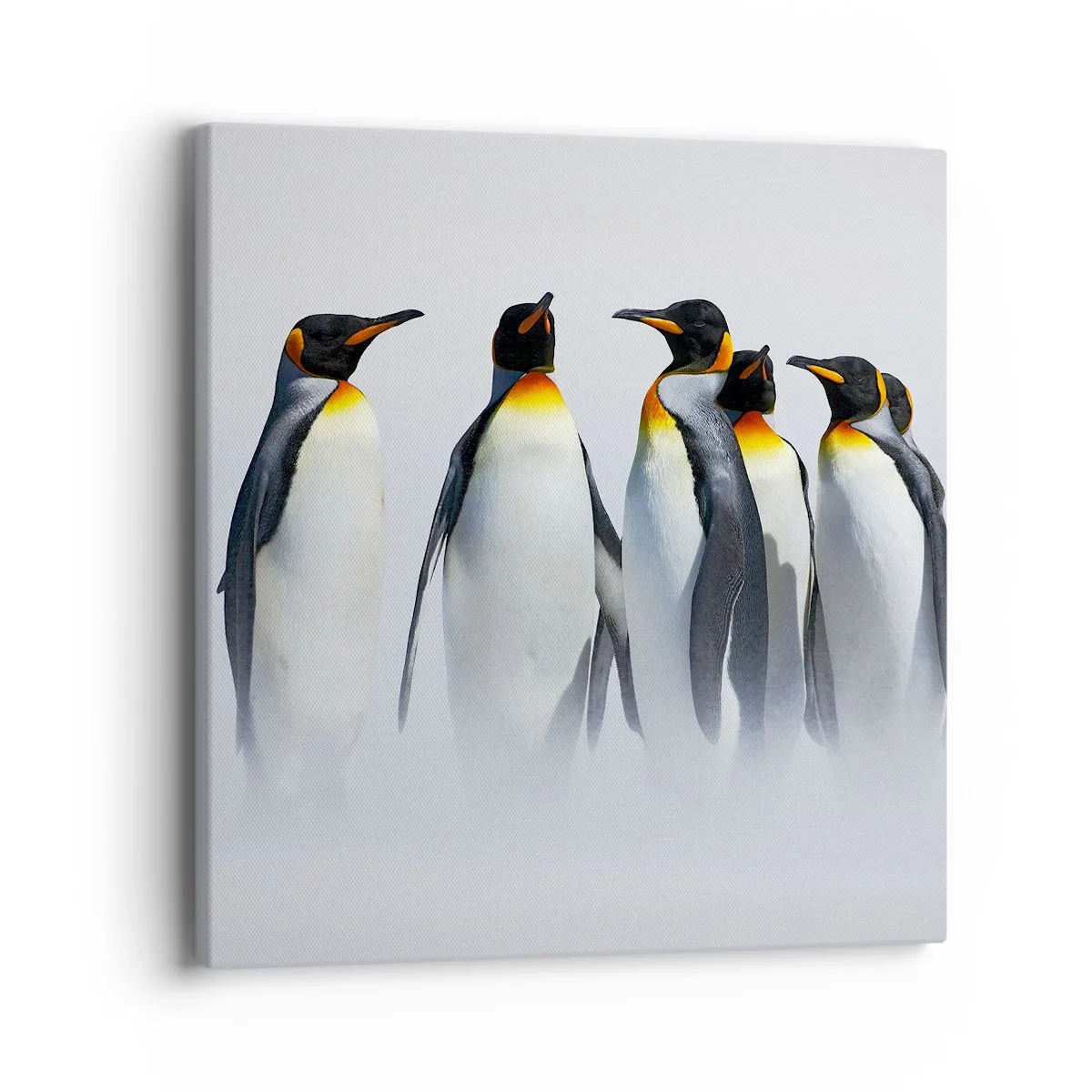 Bild auf Leinwand - Leinwandbild - Treffen in Abendkleidern - 40x40 cm