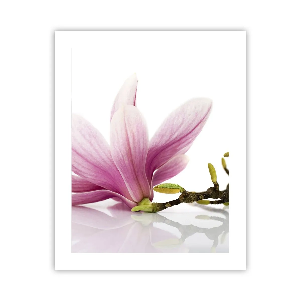 Poster - Zart wie ein Frühlingswind - 40x50 cm