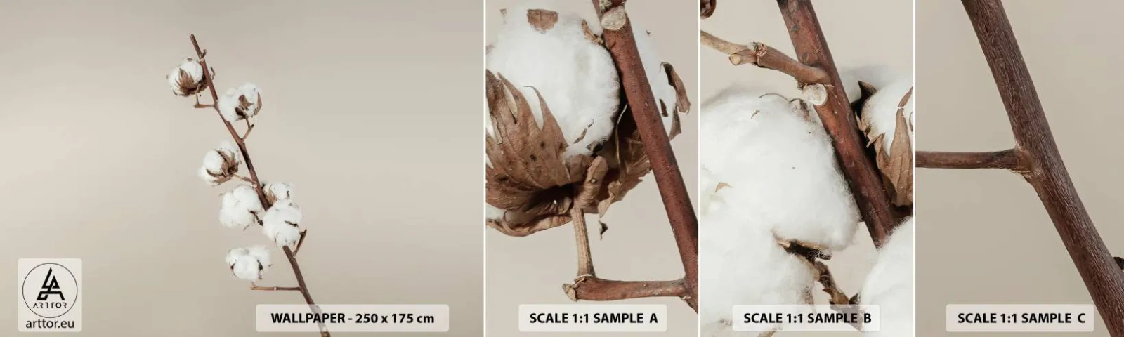 Fototapetenmuster Standard Eco - An der Quelle der Weichheit - Baumwollblume, Natur, Baumwolle - 100x30 cm