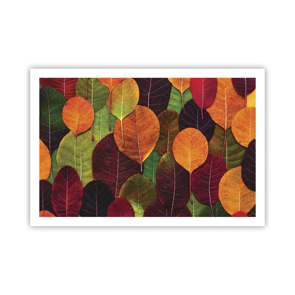 Poster - Herbstmosaik - 91x61 cm