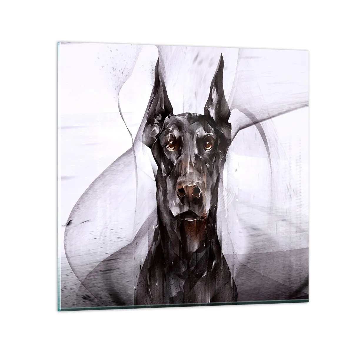 Glasbild - Bild auf glas - Edelgeboren - 30x30 cm