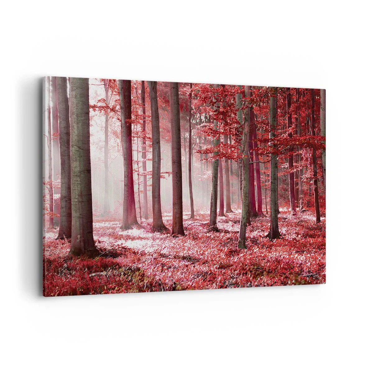 Bild auf Leinwand - Leinwandbild - Ein atemberaubender Wald in roten Farbtönen mit Lichtstrahlen, die durch die Bäume dringen - 100x70cm - Rot ist genauso schön - Moderne Wanddekoration für Wohnzimmer und Schlafzimmer ARTTOR