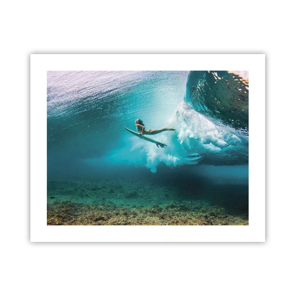 Poster - Unterwasserwelt - 50x40 cm