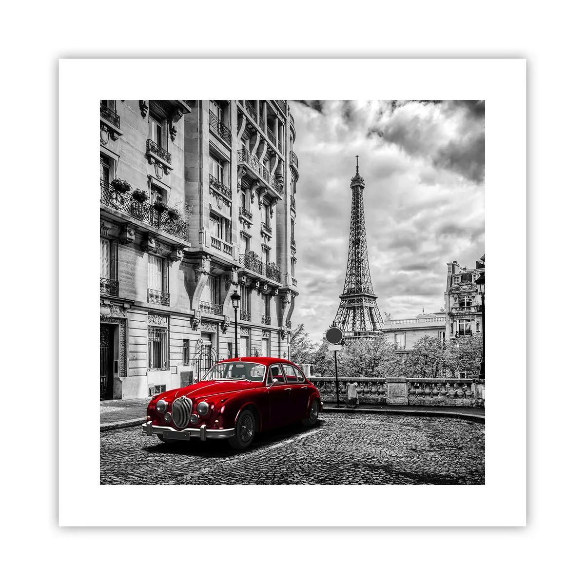 Poster - Raubtier in der Stadt - 40x40 cm