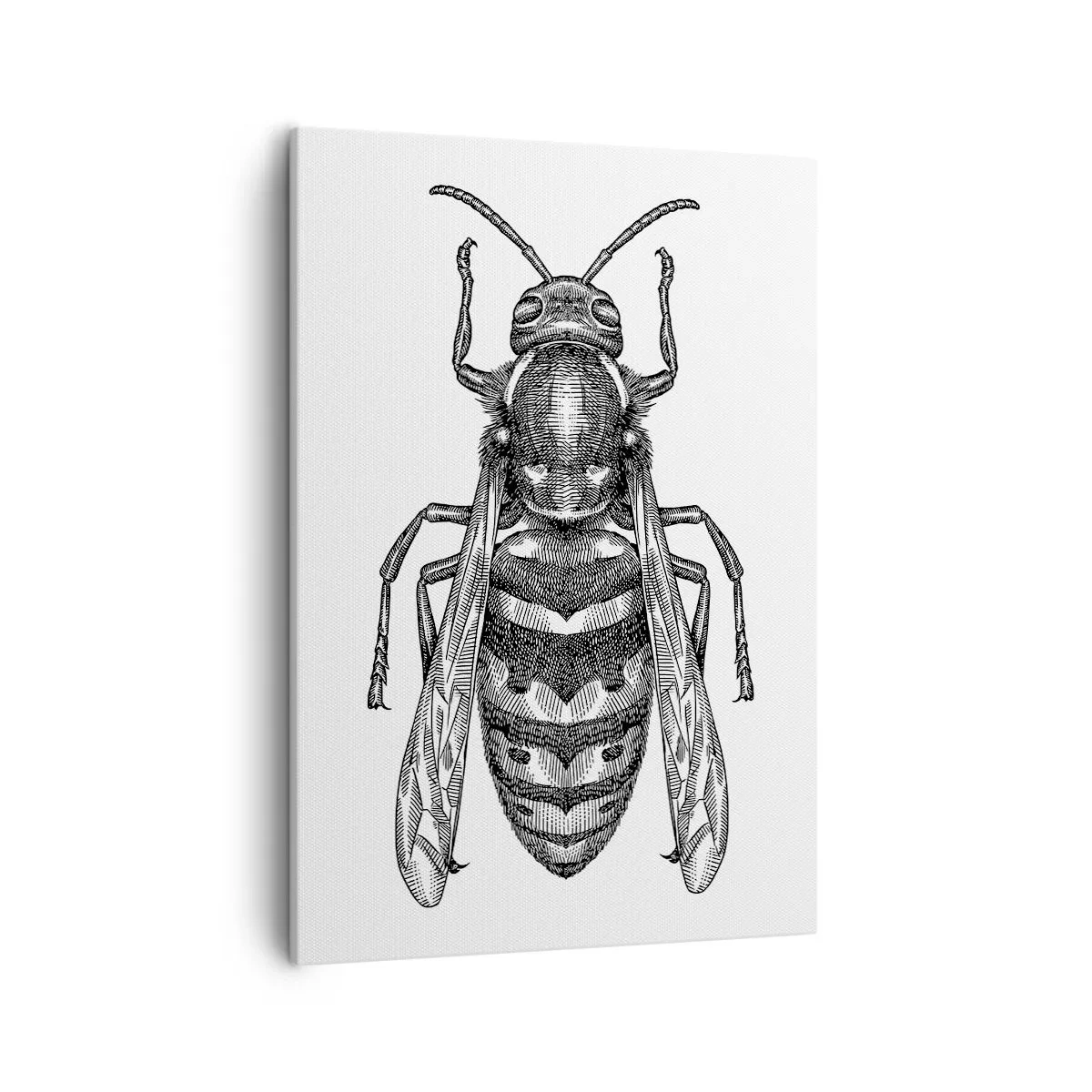 Bild auf Leinwand - Leinwandbild - Ein Cartoon-Wespenmotiv auf weißem Hintergrund im minimalistischen Stil. - 50x70cm - Von einem Insektenplaneten - Moderne Wanddekoration für Wohnzimmer und Schlafzimmer ARTTOR