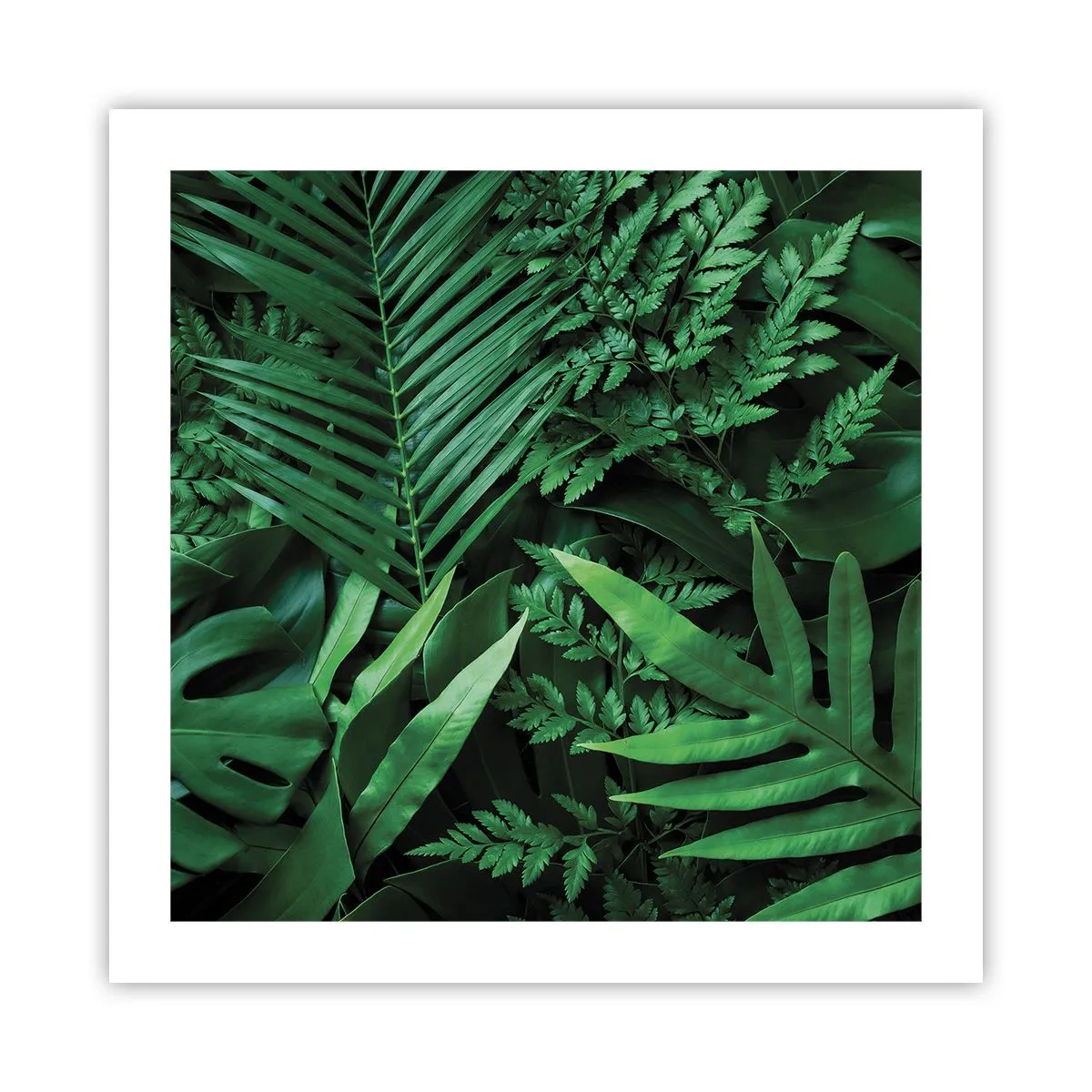 Poster - Eingebettet ins Grüne - 50x50 cm