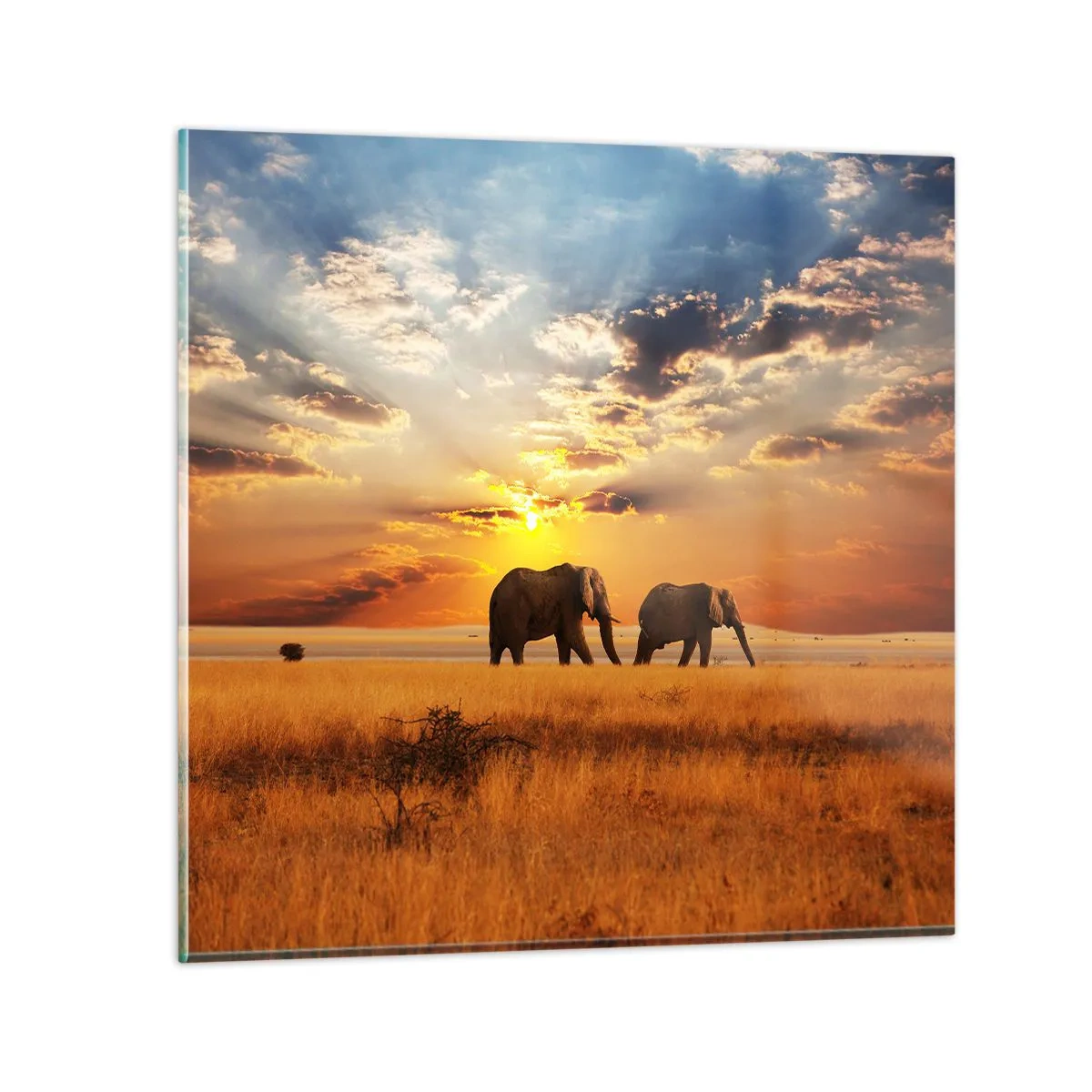 Glasbild - Bild auf glas - Familienspaziergang - 40x40 cm