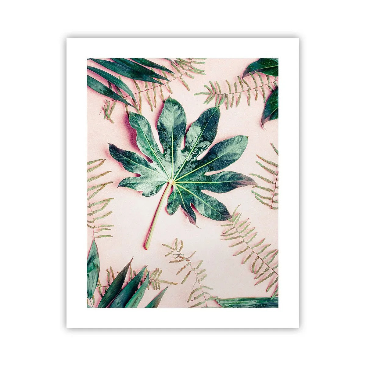 Poster - Eine Studie von Grün auf einem rosa Hintergrund - 40x50 cm