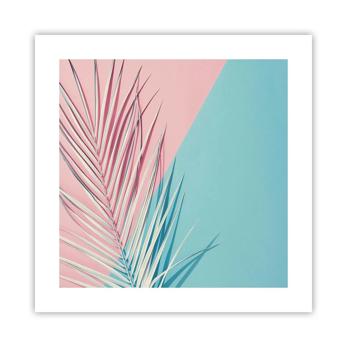 Poster - Tropischer Eindruck - 40x40 cm
