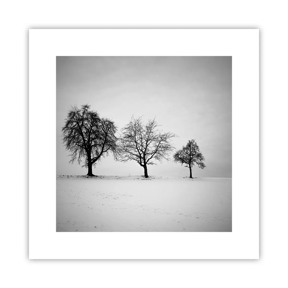 Poster - Wovon träumen sie? - 30x30 cm