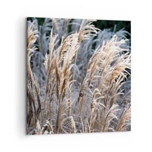 Bild auf Leinwand - Leinwandbild - Gekleidet mit Frost - 60x60 cm