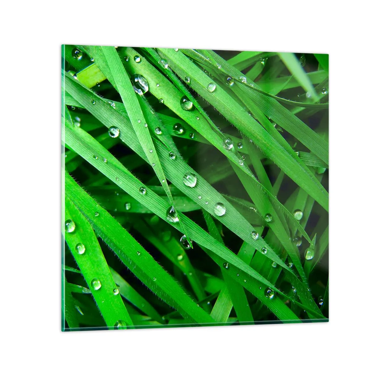 Glasbild - Bild auf glas - Grün spielen - 40x40 cm