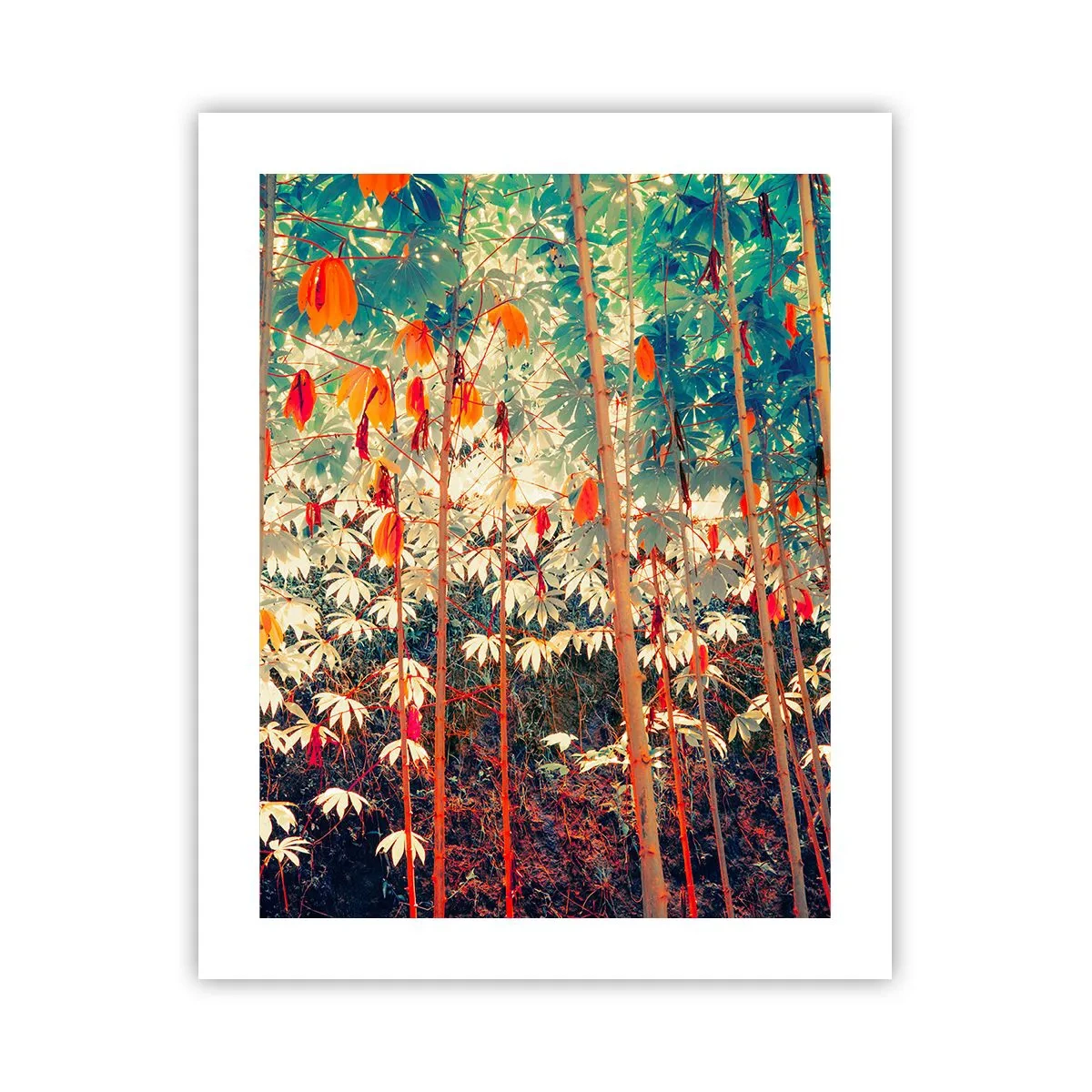 Poster - Das geheime Leben der Blätter - 40x50 cm