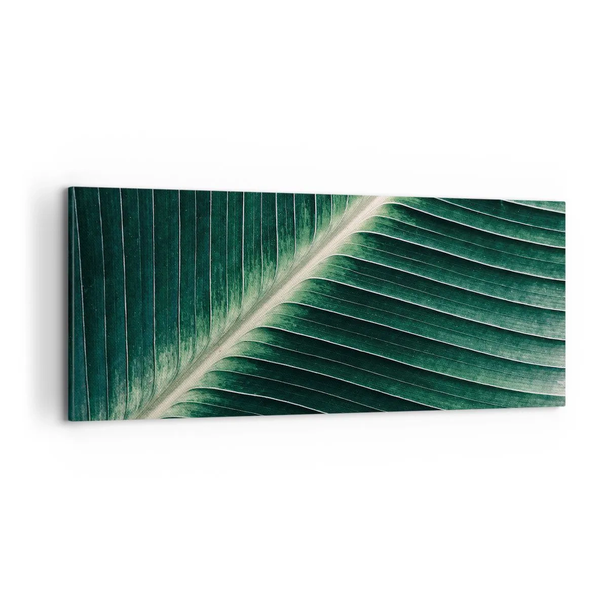 Bild auf Leinwand - Leinwandbild - Rhythmus der Natur - 100x40 cm
