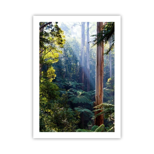 Poster - Tropischer Regenwald im Sonnenlicht - 50x70cm - Ein Waldmärchen - Moderne Wanddekoration für Wohnzimmer und Schlafzimmer ARTTOR