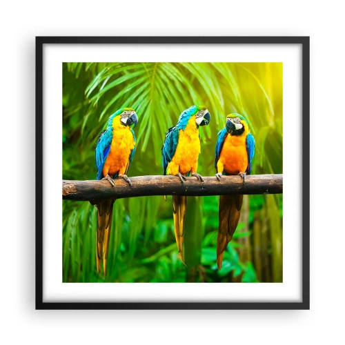 Poster in einem schwarzem Rahmen - Und hast du gehört, dass sie ...? - 50x50 cm