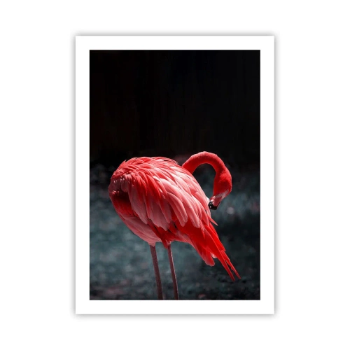 Poster - Ein roter Flamingo auf dunklem Hintergrund, dezent zu sich selbst gewandt. - 50x70cm - Ein purpurrotes Gedicht der Natur - Moderne Wanddekoration für Wohnzimmer und Schlafzimmer ARTTOR