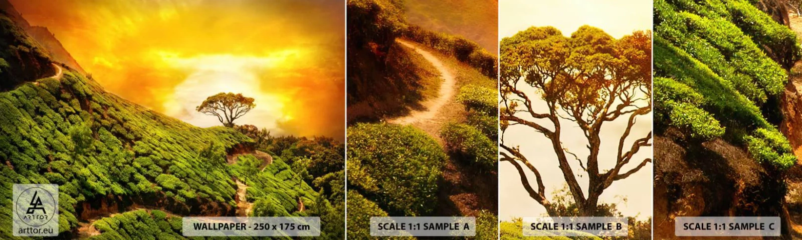 Fototapeten Muster Selbstklebend Deluxe Sticker - Ein gewundener Weg, ein grüner Hang - Landschaft, Tee Plantage, Indien - 100x30 cm