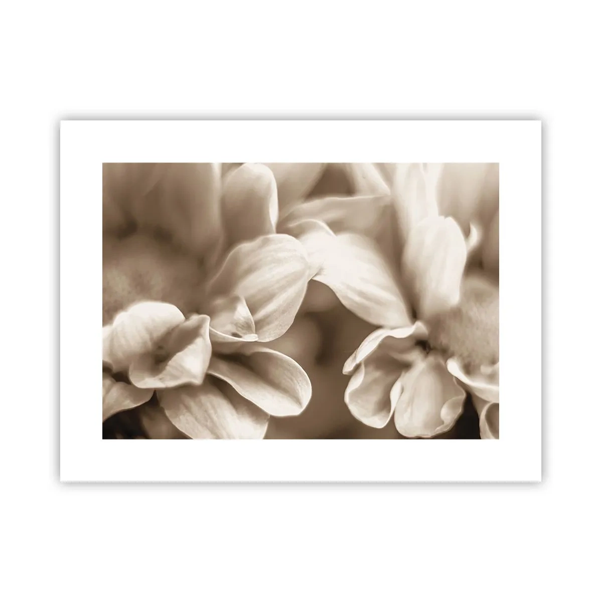 Poster - So sanft wie ein Lächeln - 40x30 cm