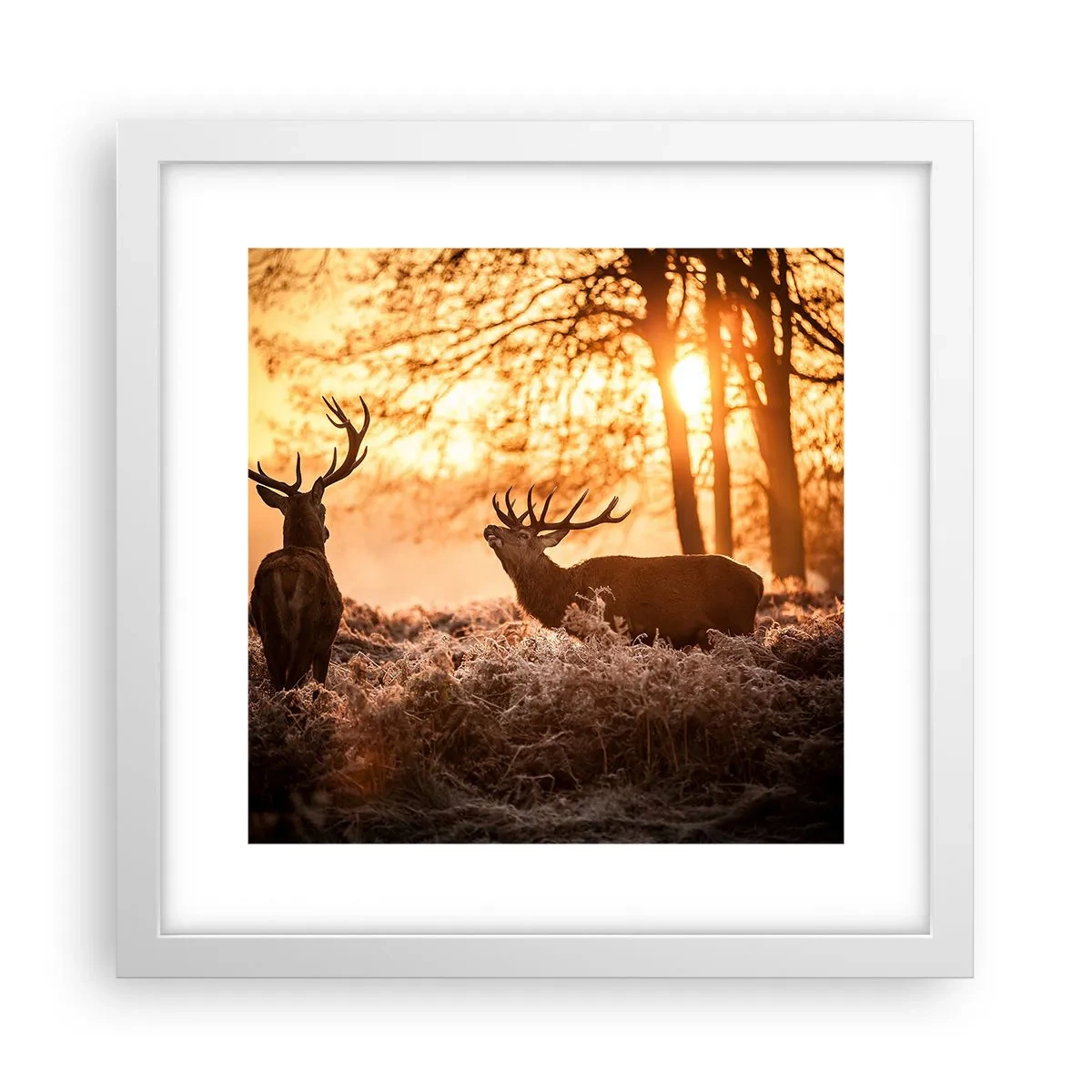 Poster in einem weißen Rahmen - Der Traum eines Jägers - 30x30 cm