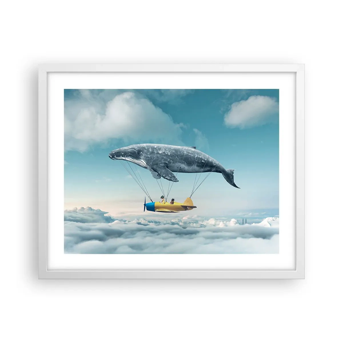 Poster in einem weißen Rahmen - Warum nicht? - 50x40 cm