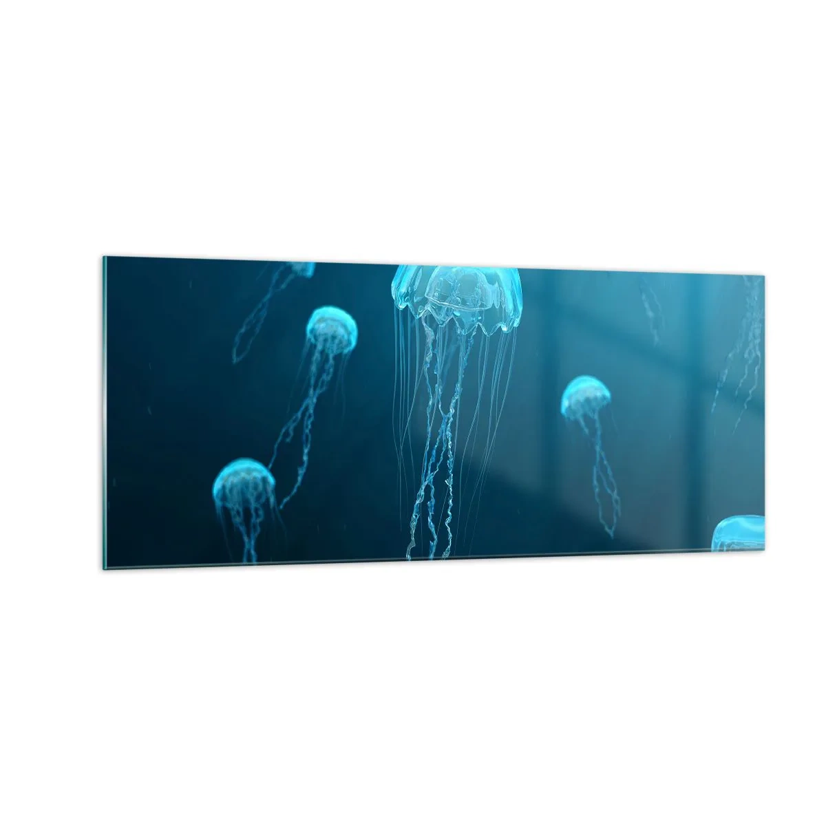 Glasbild - Bild auf glas - Ozeantanz - 100x40 cm