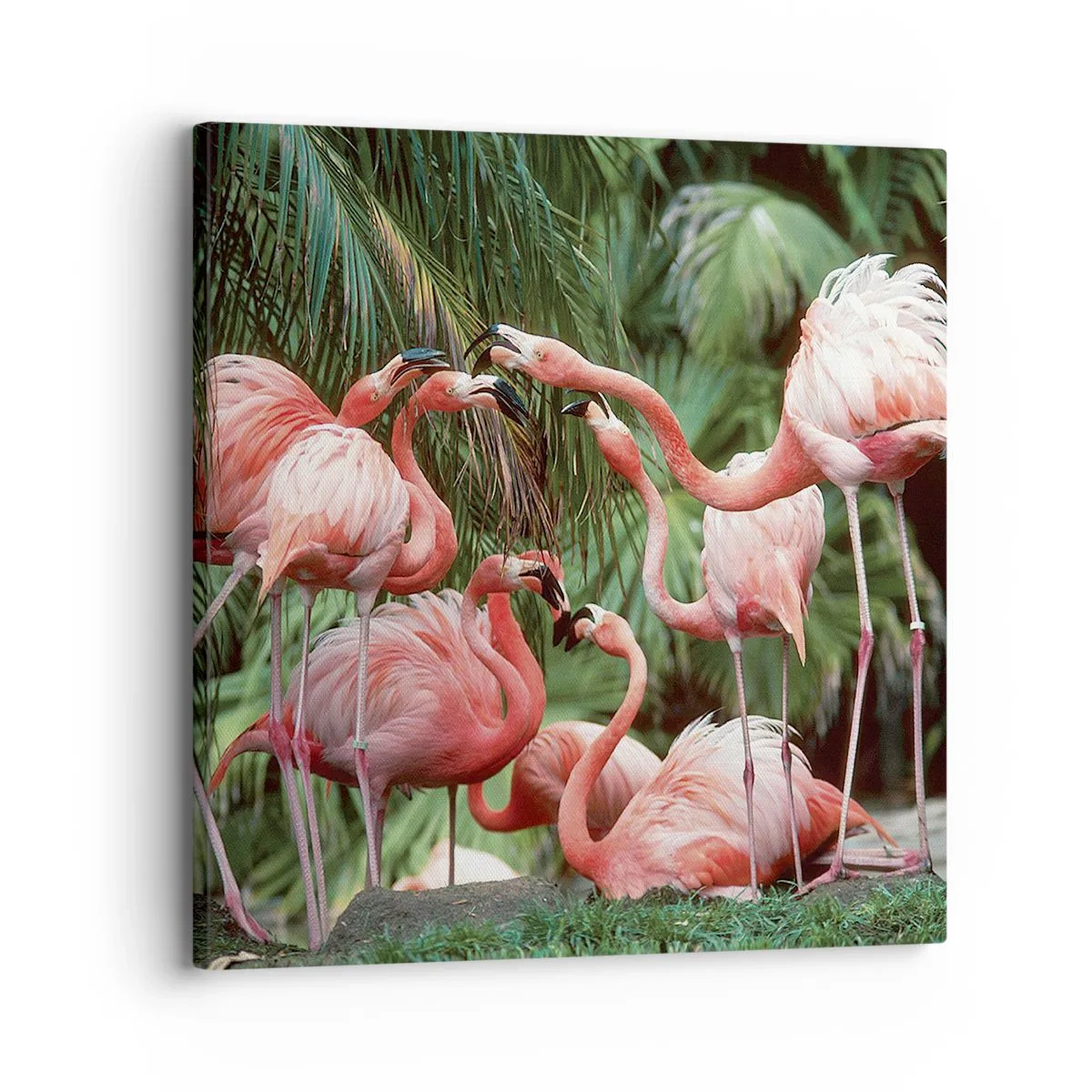 Bild auf Leinwand - Leinwandbild - Nachmittagsklatsch - 30x30 cm