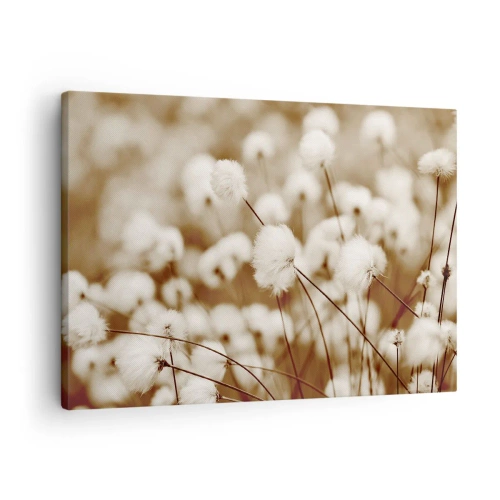 Bild auf Leinwand - Leinwandbild - Ein Feld mit zarten Pflanzen in Sepiatönen - 70x50cm - Flauschiges Kornfeld - Moderne Wanddekoration für Wohnzimmer und Schlafzimmer ARTTOR