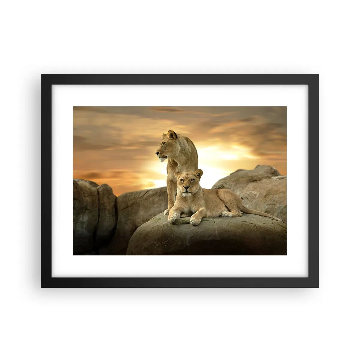 Poster in einem schwarzem Rahmen - Königliche Majestät - 40x30 cm