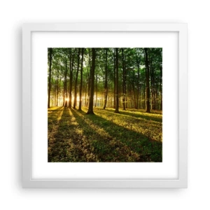 Poster in einem weißen Rahmen - Alle Frühlingsfotografie - 30x30 cm
