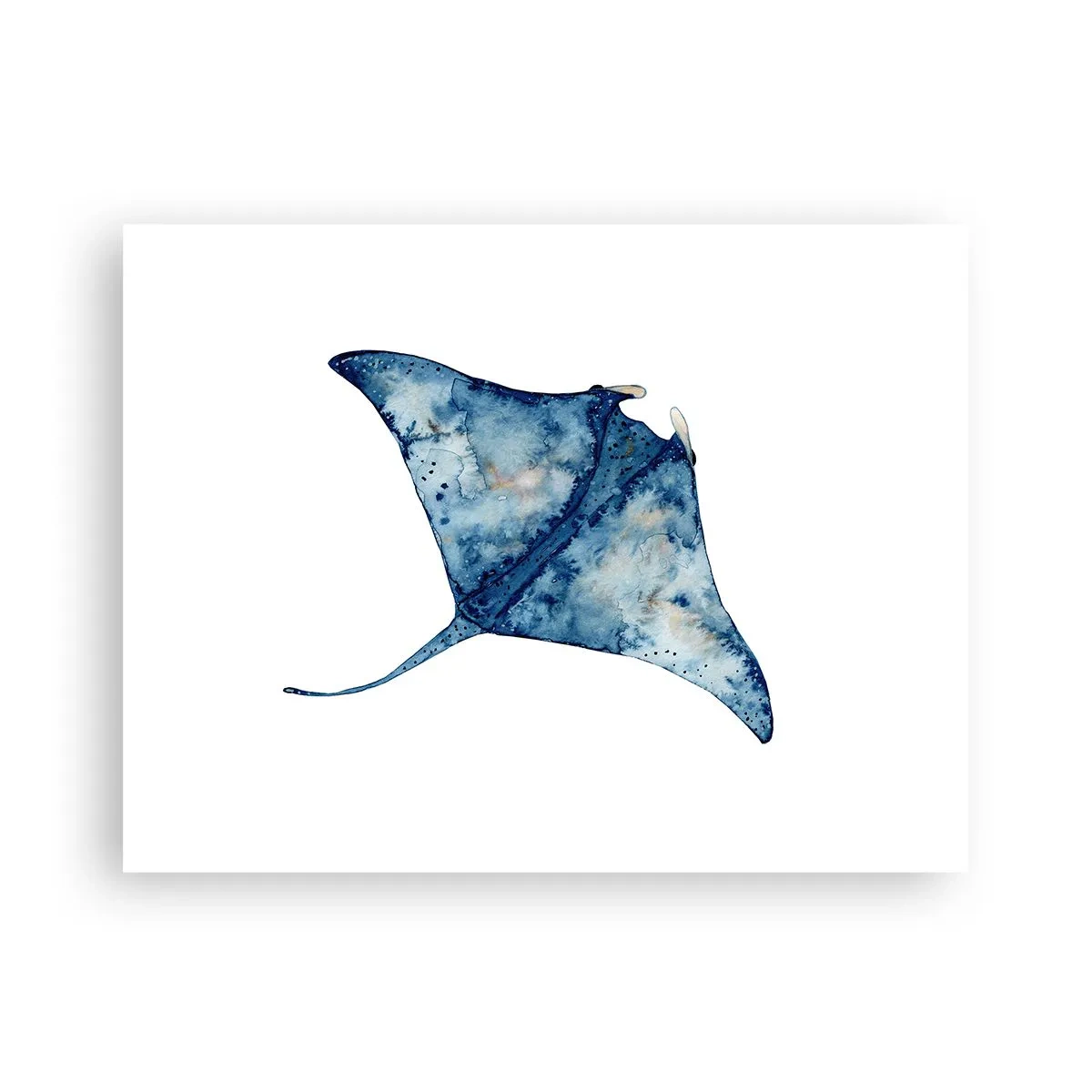 Poster - Leben im Blau - 40x30 cm
