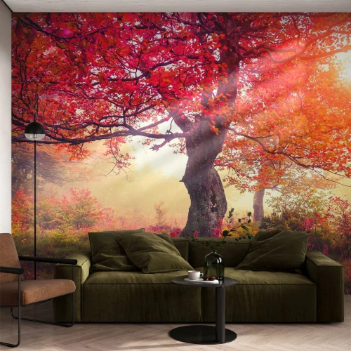 Fototapete Standard Eco - Blühende Raserei - Landschaft, Park, Blumen - 400x280 cm