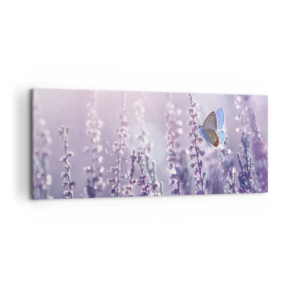 Bild auf Leinwand - Leinwandbild - Schmetterlingskuss - 100x40 cm
