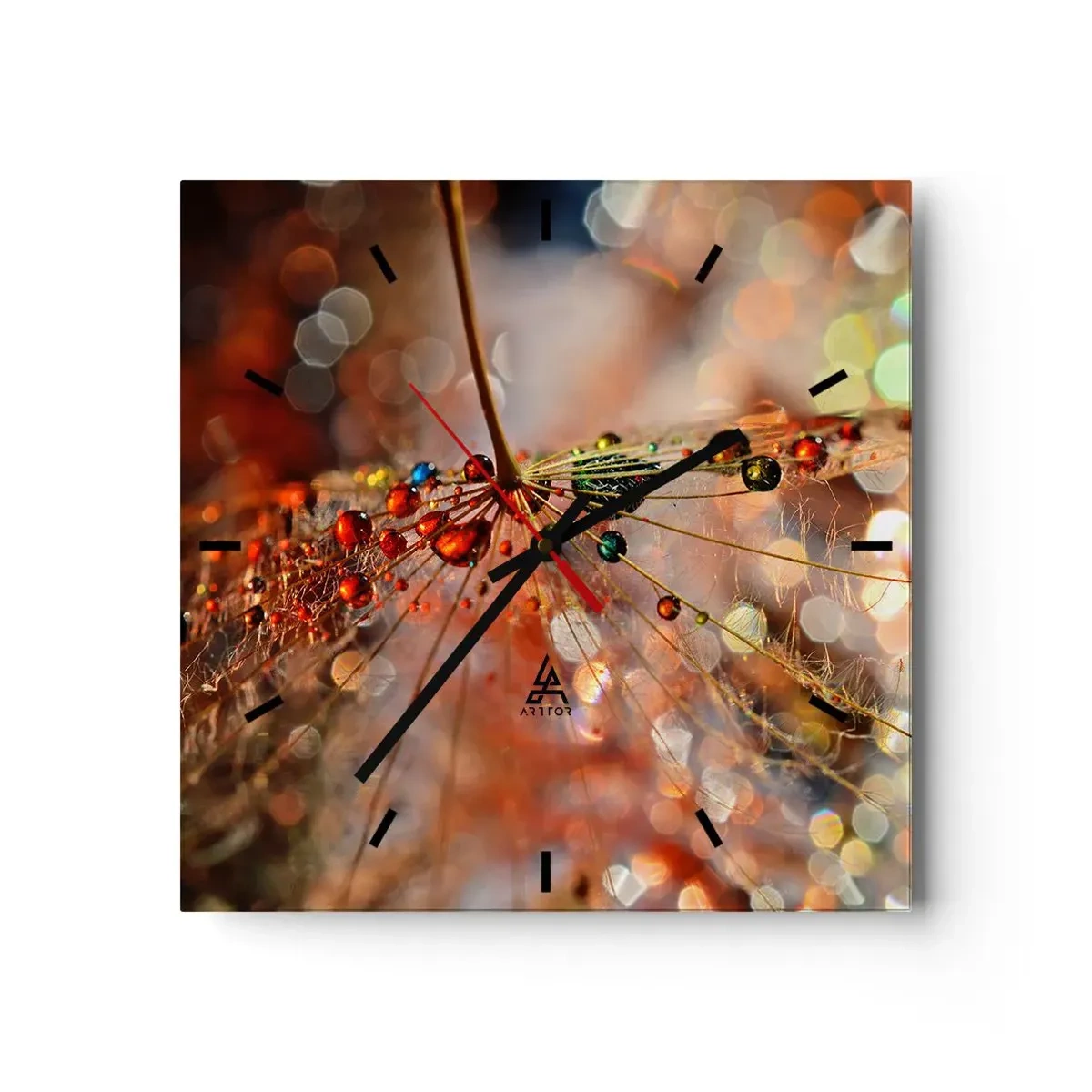 Wanduhr - Glasuhr - Makrofotografie eines Wassertropfens auf einer zarten Pflanze - 30x30cm - Auf einem Spinnenfaden aufgefädelt - Moderne Wanddekoration für Wohnzimmer und Schlafzimmer ARTTOR