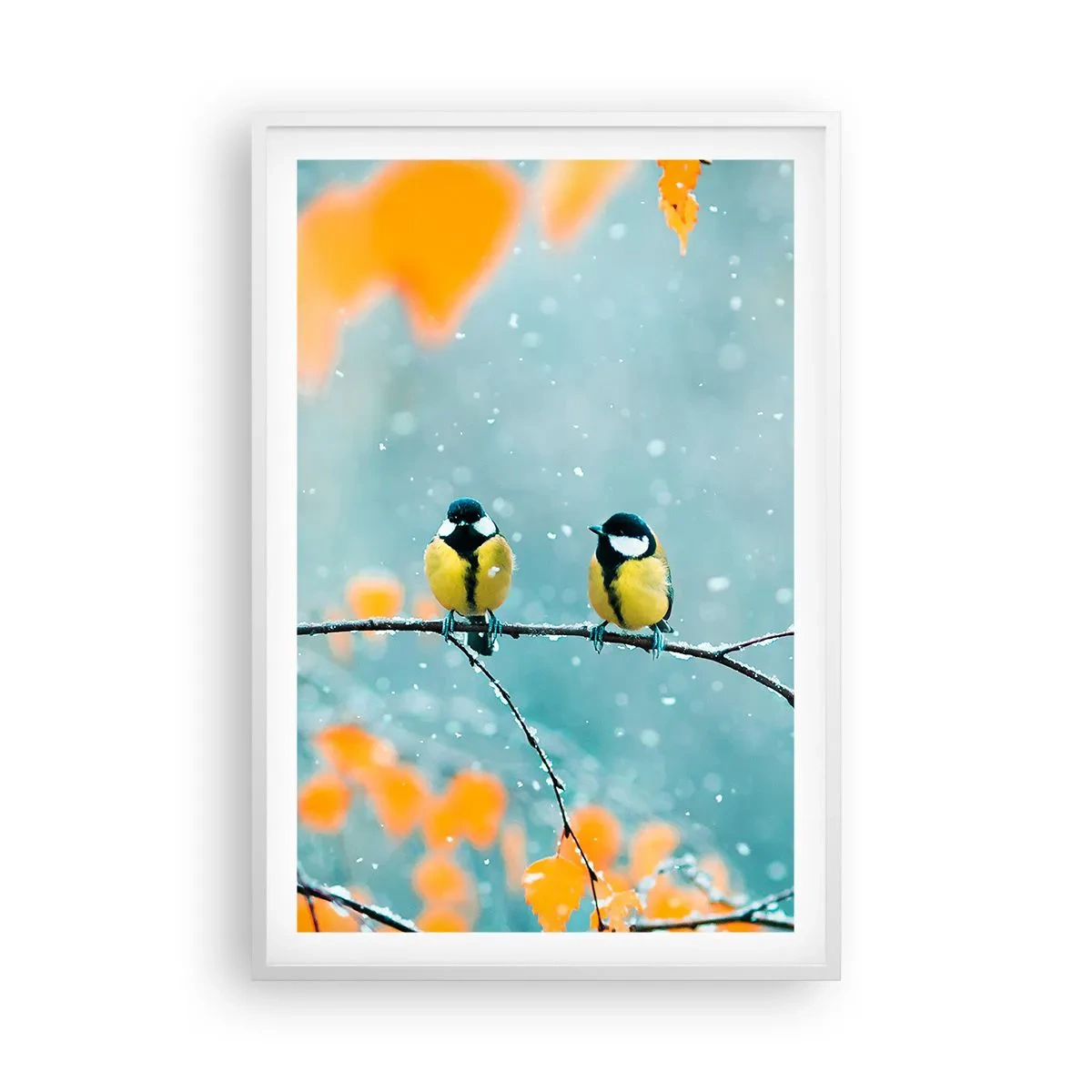 Poster in einem weißen Rahmen - Vogelklatsch - 61x91 cm