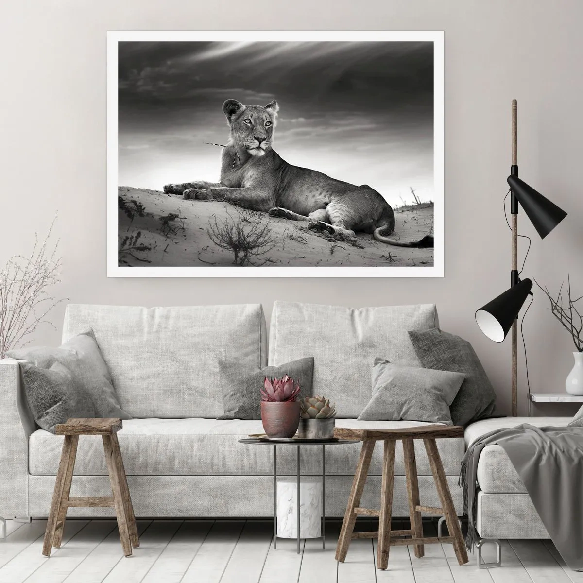 Poster - Die Königin der Wüstenruhe - 70x50 cm