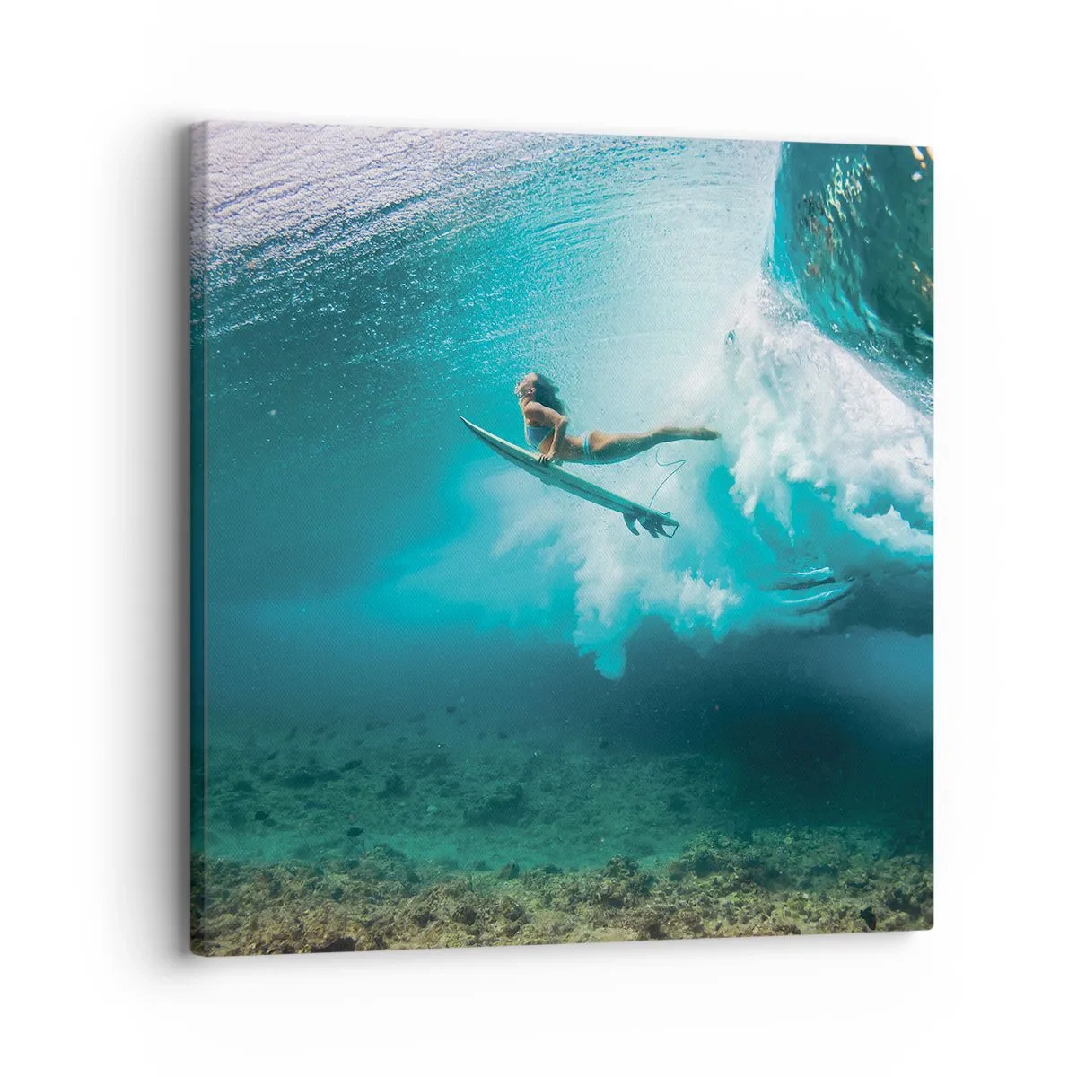 Bild auf Leinwand - Leinwandbild - Unterwasserwelt - 30x30 cm