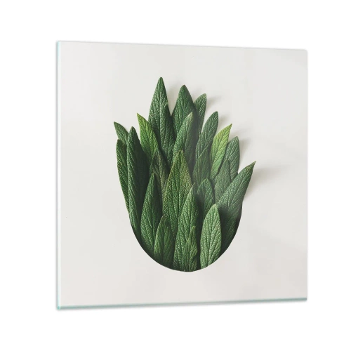 Glasbild - Bild auf glas - Ungebremste Neugier - 50x50 cm