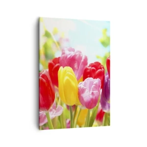 Bild auf Leinwand - Leinwandbild - Bunte Tulpen in voller Blüte vor einem Frühlingshintergrund - 50x70cm - Wir sind es, die Farben des Mais! - Moderne Wanddekoration für Wohnzimmer und Schlafzimmer ARTTOR