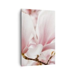 Bild auf Leinwand - Leinwandbild - Zarte Magnolienblüten in Pastelltönen - 80x120cm - Eine Fülle von Zärtlichkeit - Moderne Wanddekoration für Wohnzimmer und Schlafzimmer ARTTOR