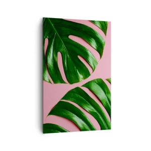 Bild auf Leinwand - Leinwandbild - Grüne Monstera-Blätter auf rosa Hintergrund - 80x120cm - Rendezvous im Grünen - Moderne Wanddekoration für Wohnzimmer und Schlafzimmer ARTTOR