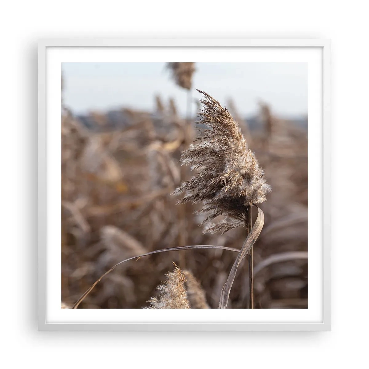 Poster in einem weißen Rahmen - Zeit, mit dem Wind zu gehen - 60x60 cm