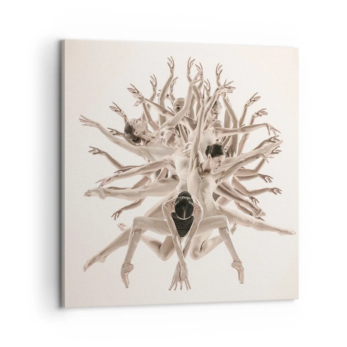 Bild auf Leinwand - Leinwandbild - Aufblühen im Tanz - 60x60 cm