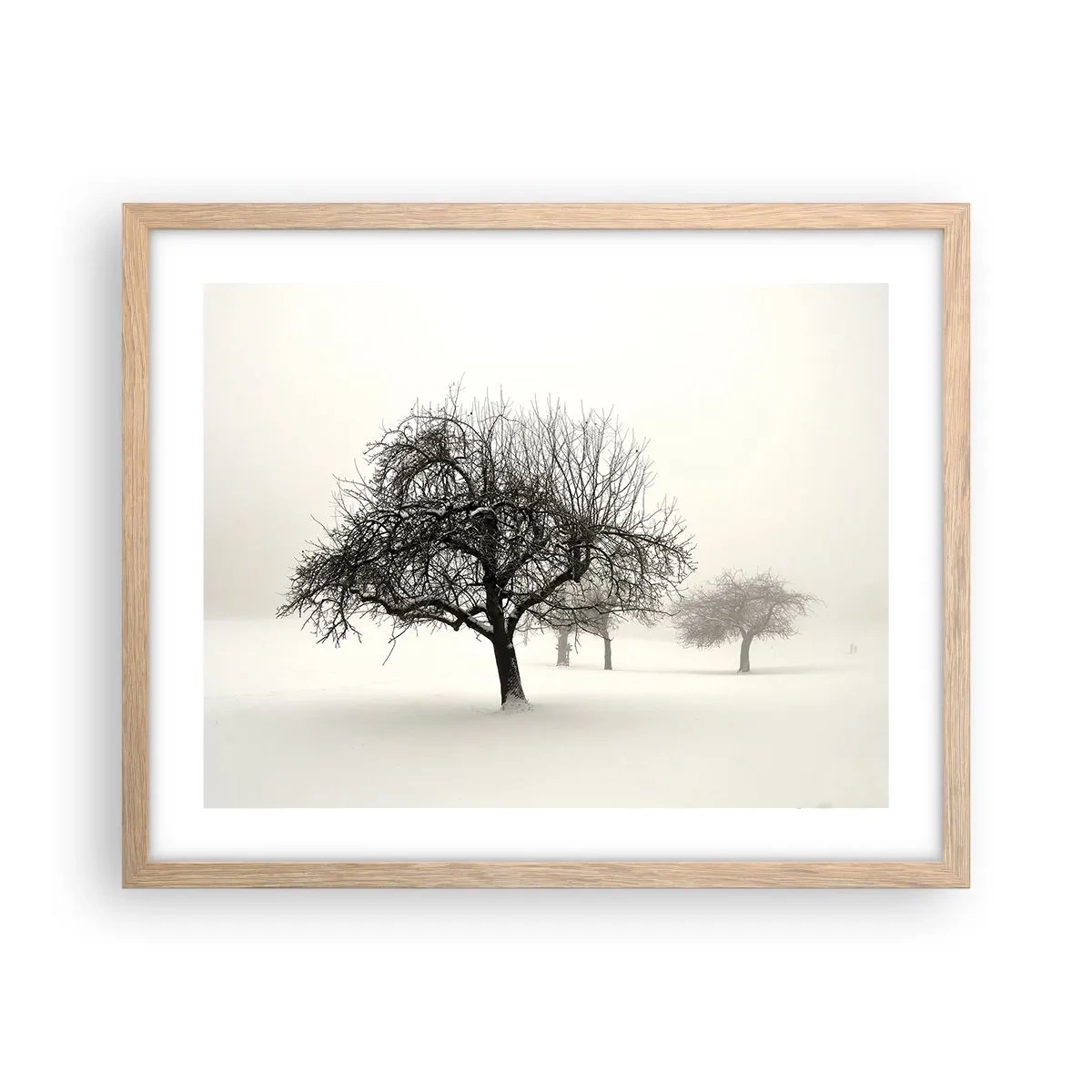 Poster in einem Rahmen aus heller Eiche - Winterschlaf - 50x40 cm
