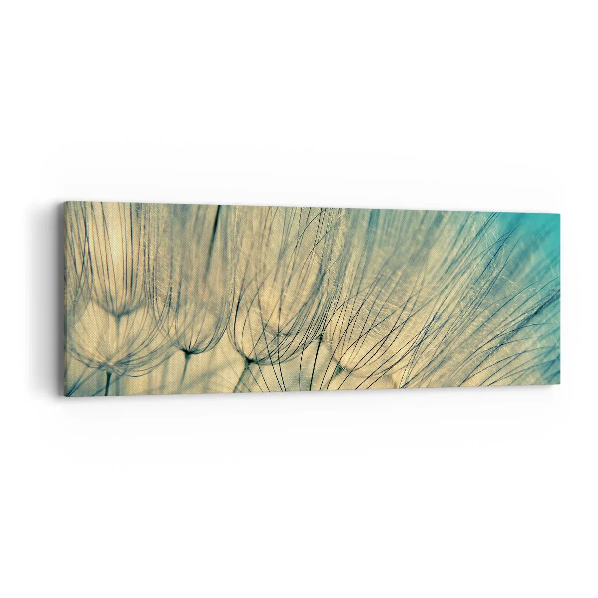 Bild auf Leinwand - Leinwandbild - In Erwartung des Windes - 90x30 cm