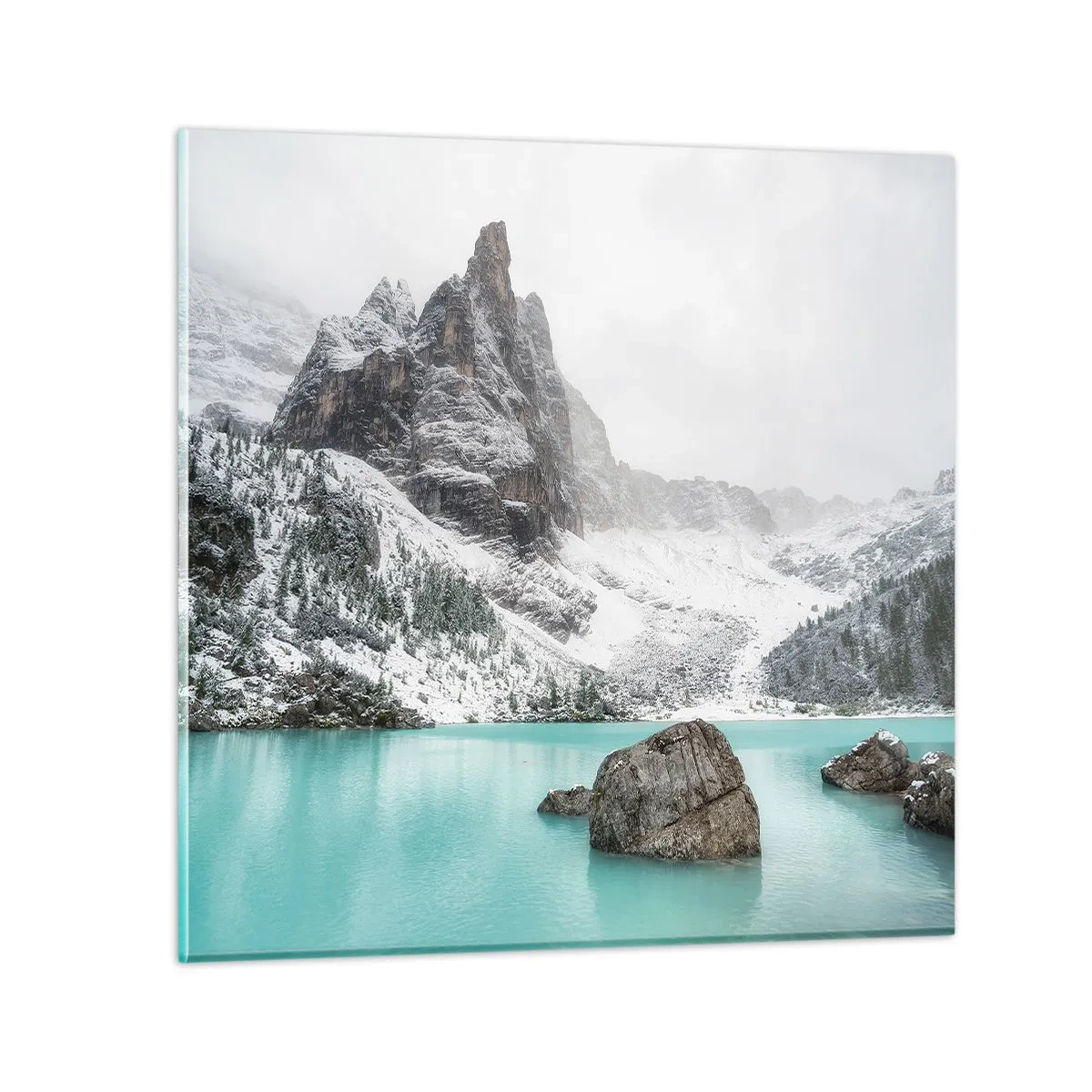Glasbild - Bild auf glas - Auf der Hut - 40x40 cm
