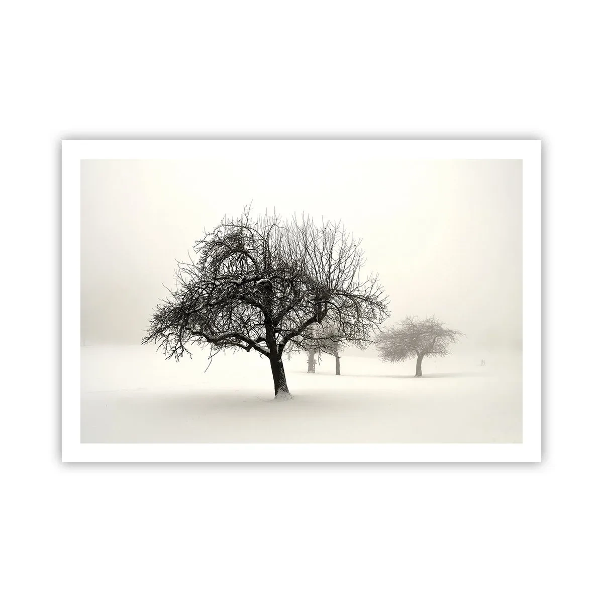 Poster - Winterschlaf - 91x61 cm