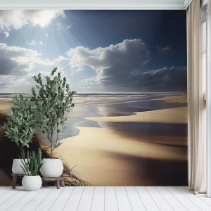 Fototapete Premium Sand - Strand, wilder Strand - Strand, Meer, Dünen - 250x175 cm