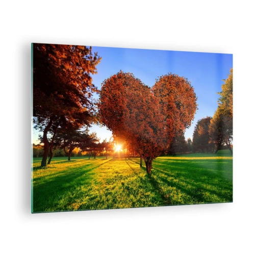 Glasbild - Bild auf glas - Ein herzförmiger Baum vor dem Hintergrund der untergehenden Sonne - 70x50cm - Und wie man den Herbst nicht liebt - Moderne Wanddekoration für Wohnzimmer und Schlafzimmer ARTTOR