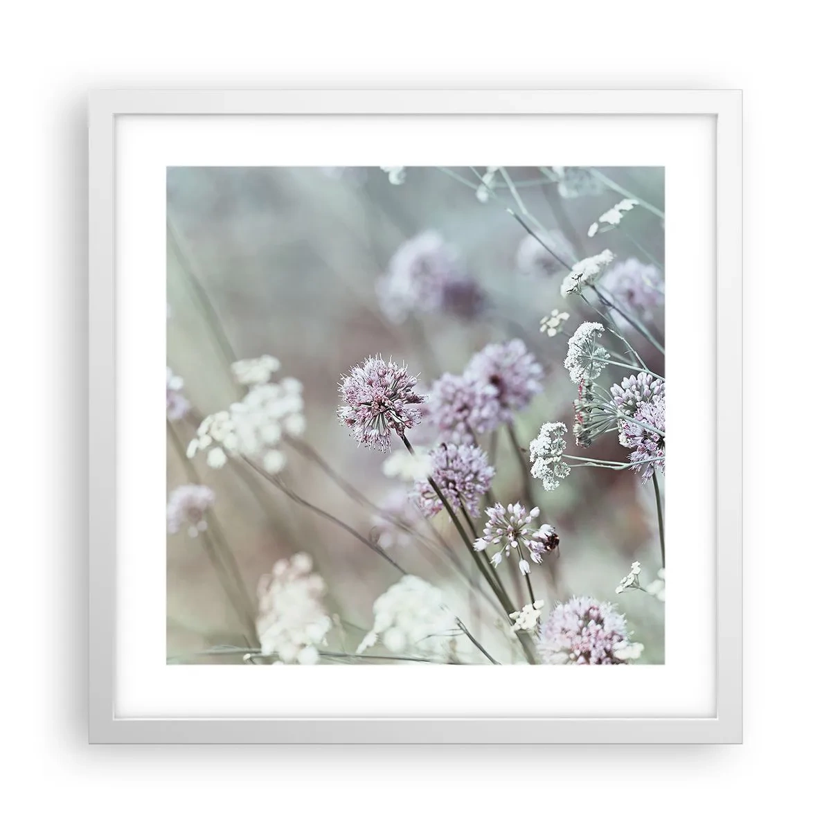 Poster in einem weißen Rahmen - Süße filigrane Kräuter - 40x40 cm